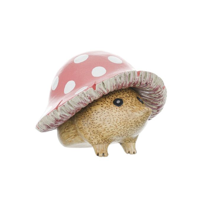 DCUK - Hedgies Hedgehogs